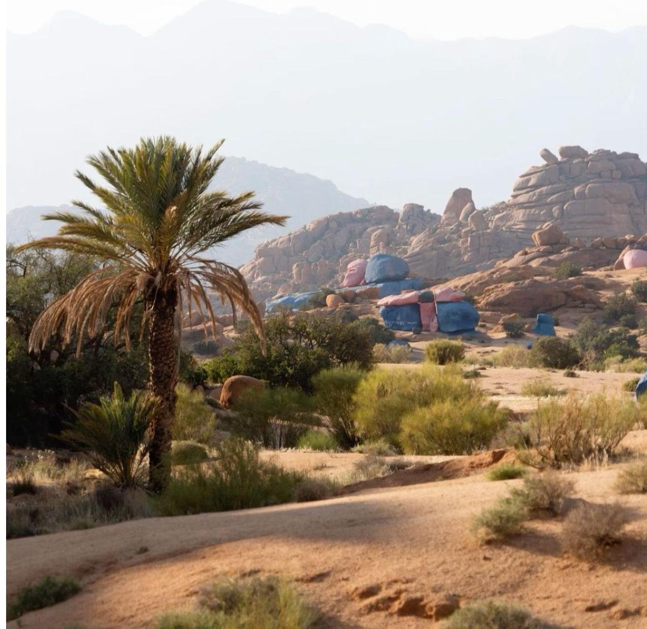 Desert Oasis with Palm Trees