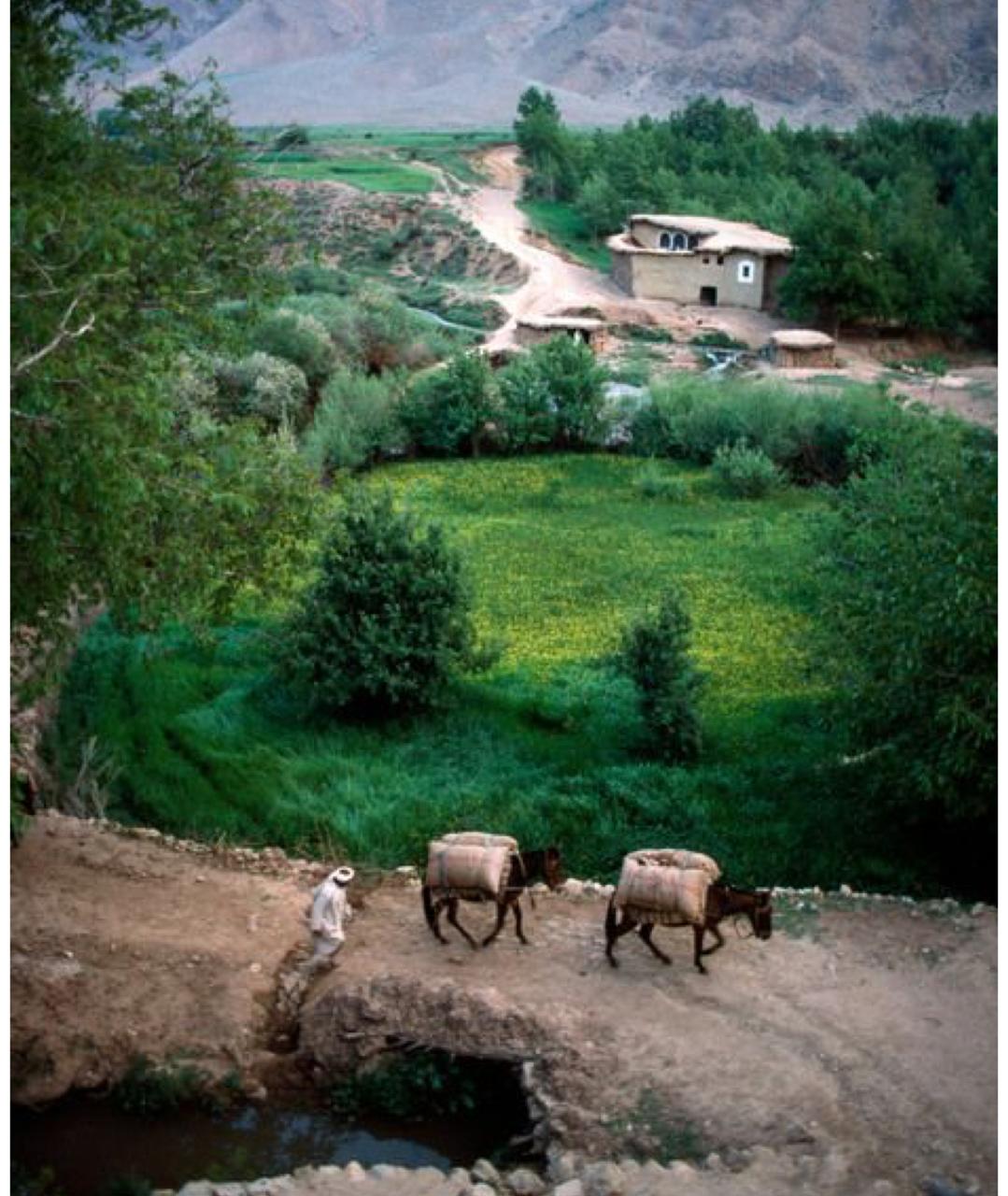 Traditional Village Life